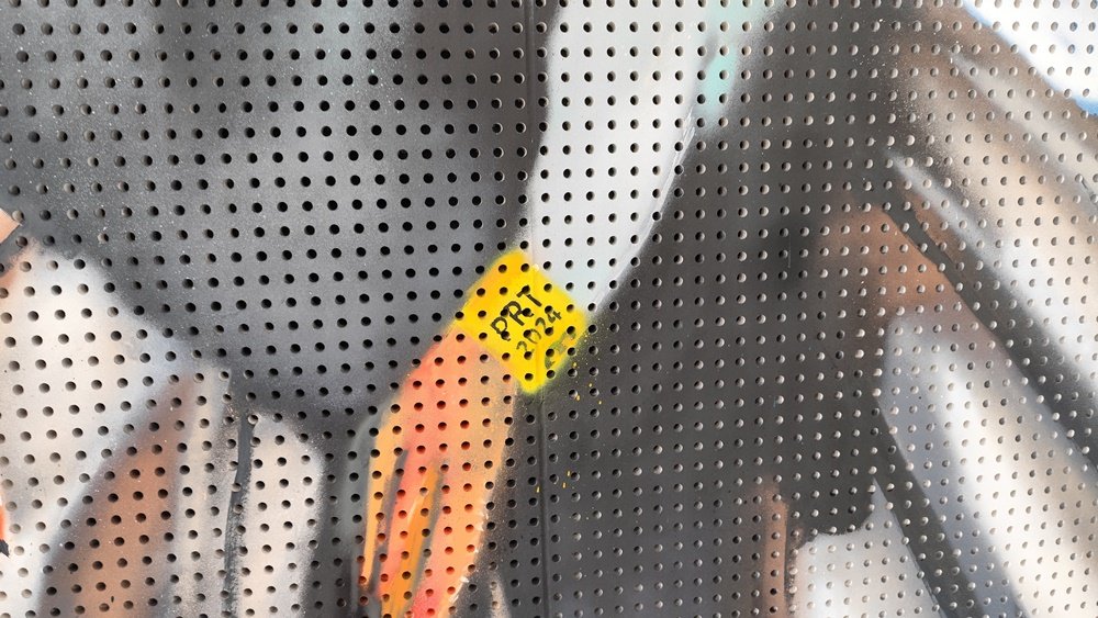 Pormenor da anilha do pombo-correio (cores 2024 e letras PRT de Portugal). A anilha curva impede a visualização do número. Vê-se o material da placa de MDF acústico, comprovando a superfície da arte urbana.