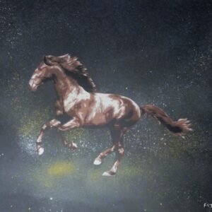 Esta tela (40x50cm) capta o movimento em stencil: um cavalo castanho a galope. Jactos e gotas de tinta amarela e branca, aplicados com a needle cap, saem dos cascos, contrastando com o fundo preto com esfumados brancos e amarelos. Uma peça de arte urbana de grande dinamismo.
