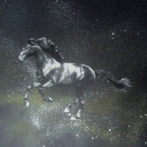 Esta tela (40x50cm) capta o movimento puro: um cavalo cinzento a galope, feito com stencil e spray. Jactos e gotas de tinta amarela e branca, aplicados com a needle cap, saem dos cascos do animal, contrastando com o fundo preto esfumado que evoca velocidade e drama.