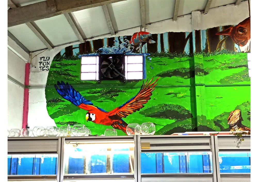 Detalhe da esquerda do mural Petlandia: A Arara-vermelha em grande plano e o Koi-fish a saltar de uma janela, criando o efeito de um aquário. O mural usa a arquitectura do espaço para a composição.