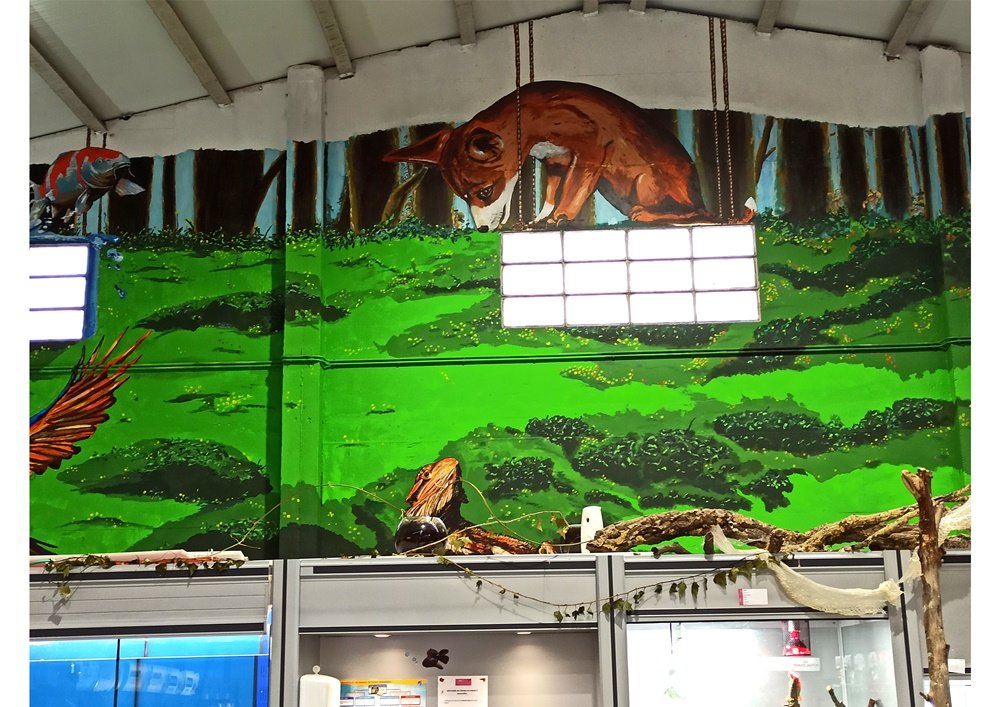 Detalhe da área central do mural Petlandia em Albufeira. A imagem foca-se no Lagarto Barbudo (em baixo) e na Raposa sentada numa janela (em cima), criando uma cena de observação e vigilância no ecossistema pintado.