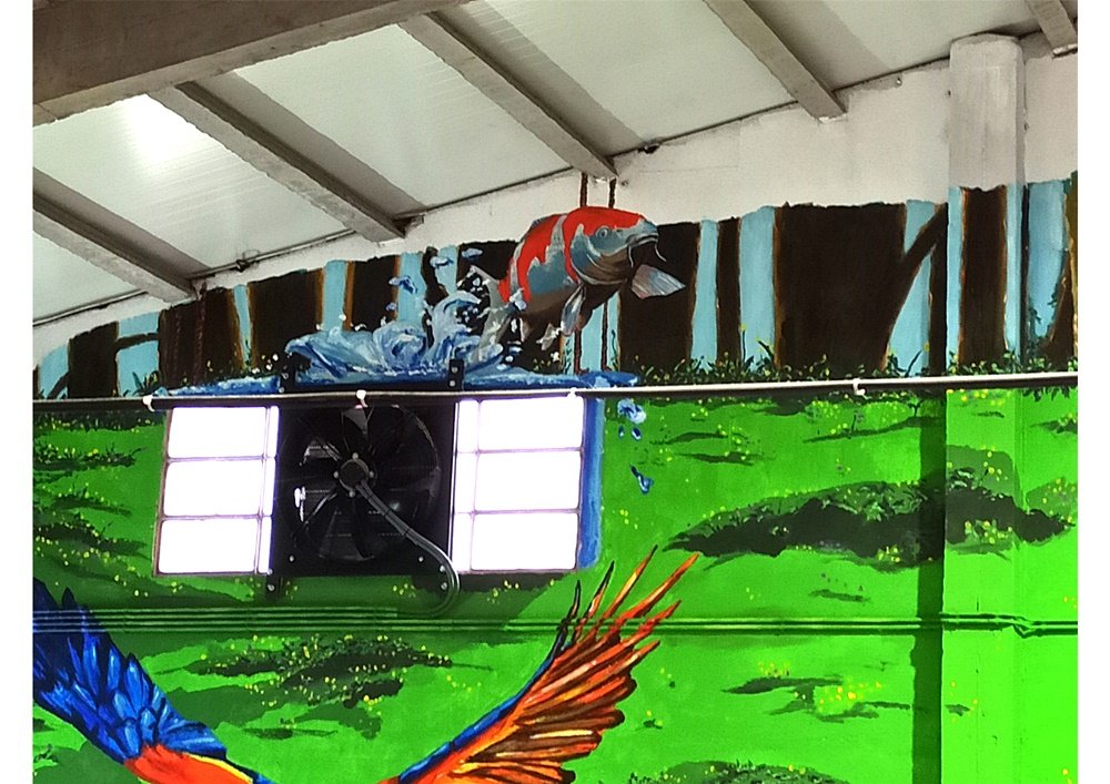 Detalhe do Koi-Fish a saltar de uma janela, simulando um aquário, no mural da Loja Petlandia (Albufeira). A pintura, em tinta de água e acrílicos, destaca o efeito visual de água e movimento, integrando a arquitectura do espaço na composição.