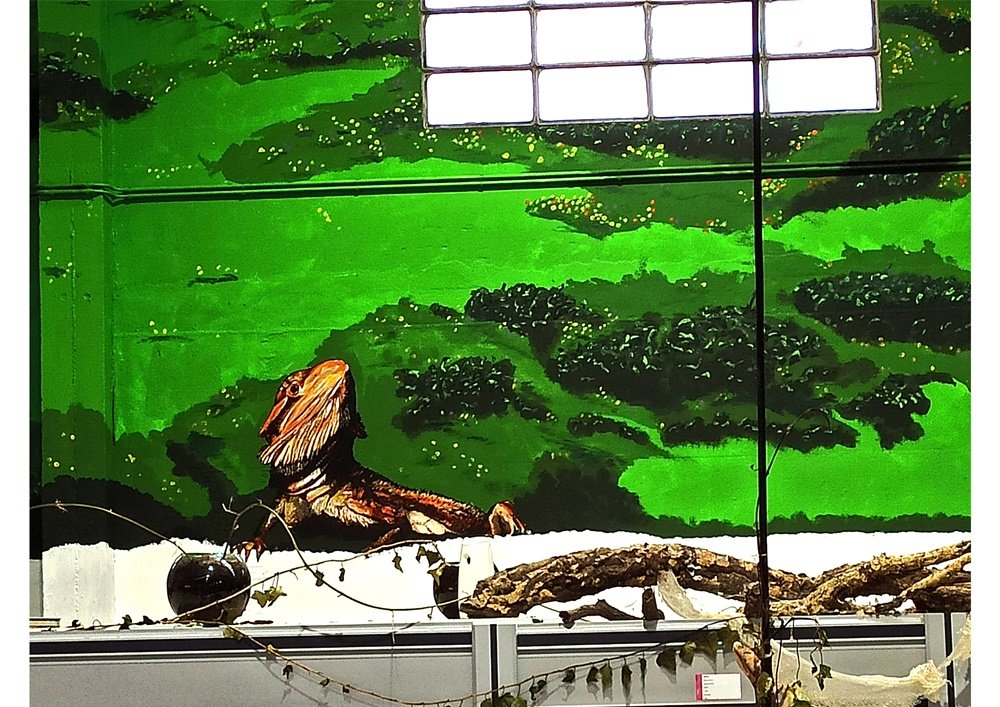 Detalhe do Lagarto Barbudo no mural da Loja Petlandia. A imagem foca-se no realismo da pele e na textura da barba do lagarto, que olha em observação no ecossistema animal pintado com tinta de água e acrílicos.