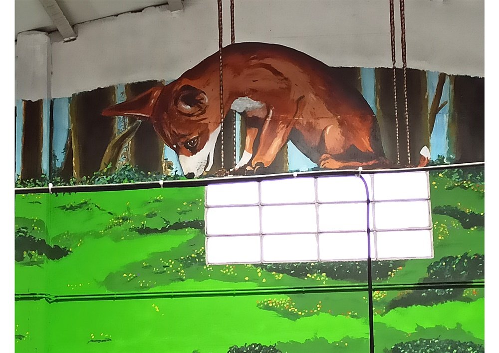 Detalhe da Raposa sentada na janela do mural da Loja Petlandia em Albufeira. A raposa, com expressão de observação e inteligência, vigia o cenário, pintada com tinta de água e acrílicos no interior comercial.