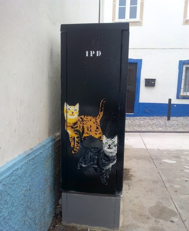 Vista lateral do armário de electricidade com a pintura. Dois gatos de rua em stencil (um amarelo e um cinzento) com os rabos levantados, a olhar para cima em atitude de espera por comida. Foco na narrativa da colónia de gatos de Albufeira.
