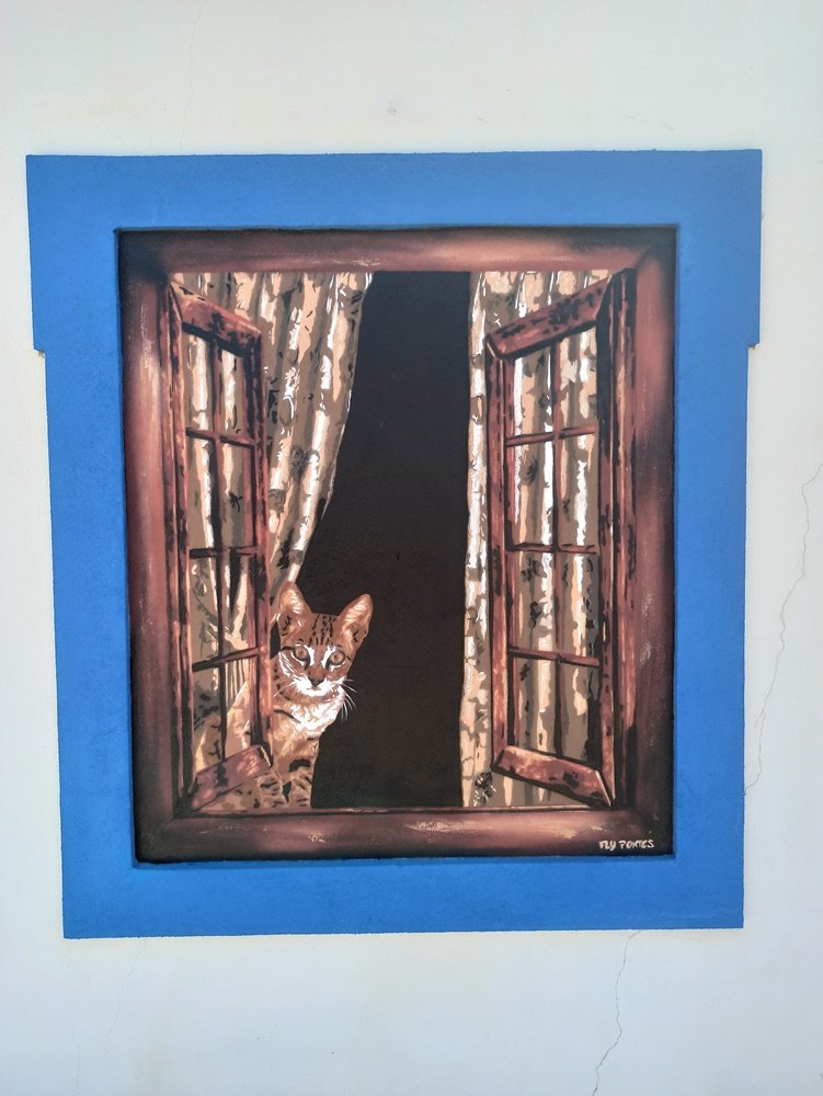 Pintura "O Gato na Janela Aberta" terminado em moradia particular. A ilusão de óptica usa a técnica Stencil e Spray para criar uma janela falsa azul onde um gato de pelo castanho e olhos de mel espreita o observador.