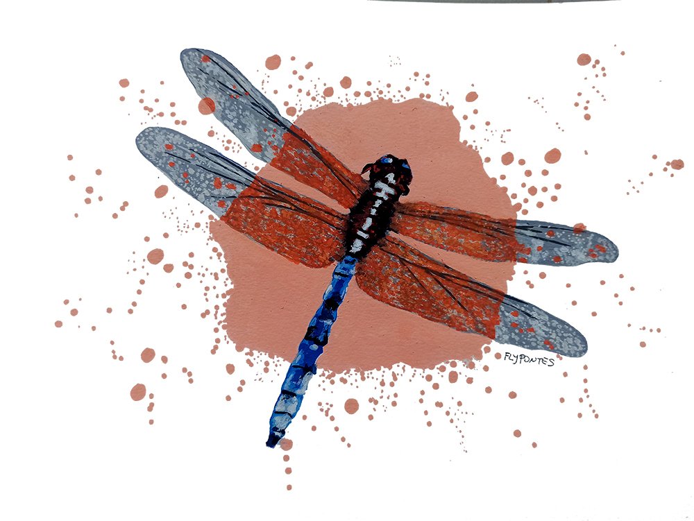 Desenho Libelinha (A3). Insecto de corpo azul escuro, mancha de tinta central visível através das asas. Marcadores One4all. (Colecção privada).