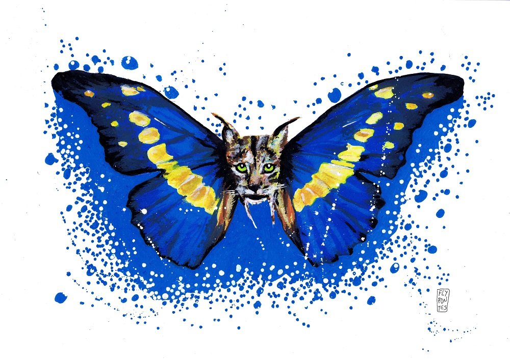 Ilustração A3 da Série "Animais com asas de borboleta", criada com marcadores Molotow. Apresenta um Lince-Ibérico com um olhar de melancolia, fundido com as raras asas azuis metálicas da Morpho helena (Morfo de Helena), nativa da América do Sul. Peça disponível para aquisição na Loja.