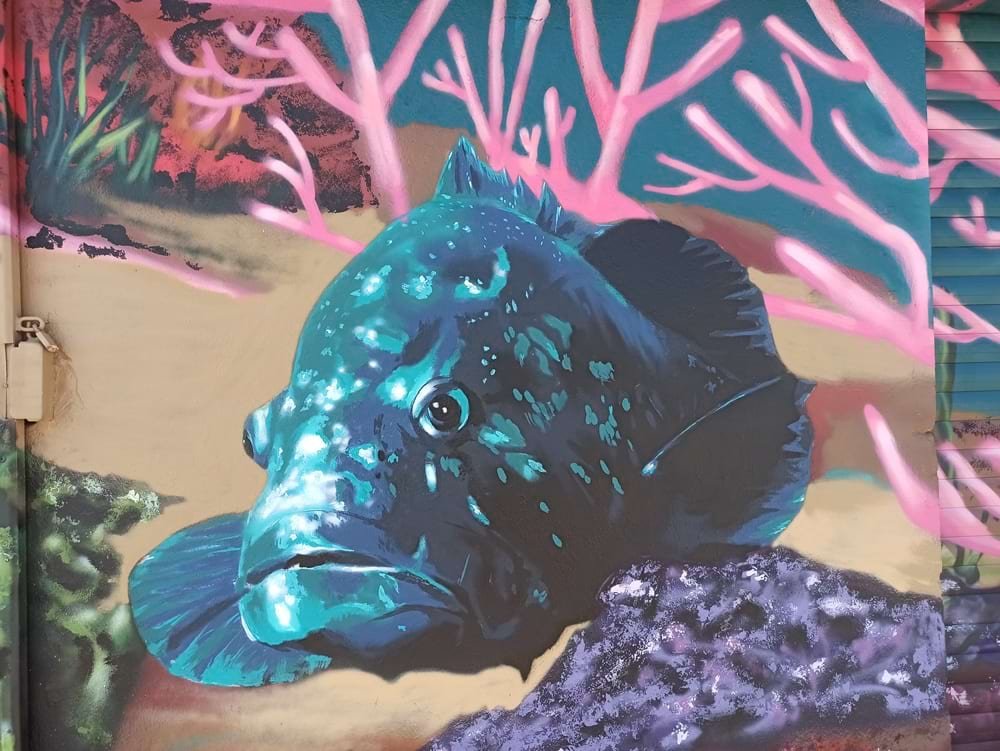 Mero imponente em pintura mural, representando a fauna óssea do Recife do Algarve.