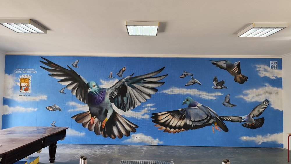 Mural "Tributo ao Pombo-Correio" terminado na Sociedade Columbófila Messinense. O pombo-correio principal, imponente, voa sobre o céu azul com nuvens. Arte urbana de homenagem à Columbofilia em S. B. Messines.