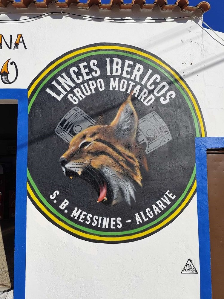 Mural realista em spray de um Lince Ibérico rugindo, na sede dos Linces Ibéricos Grupo Motard, na Ribeira de Arade.