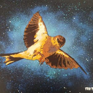 Obra original (40x50cm) executada integralmente em Stencil e Spray sobre cartolina. Apresenta a silhueta de um pássaro em tons terra, destacada por um fundo abstracto e nocturno de esfumados azul e violeta. Peça disponível para aquisição imediata na Loja.