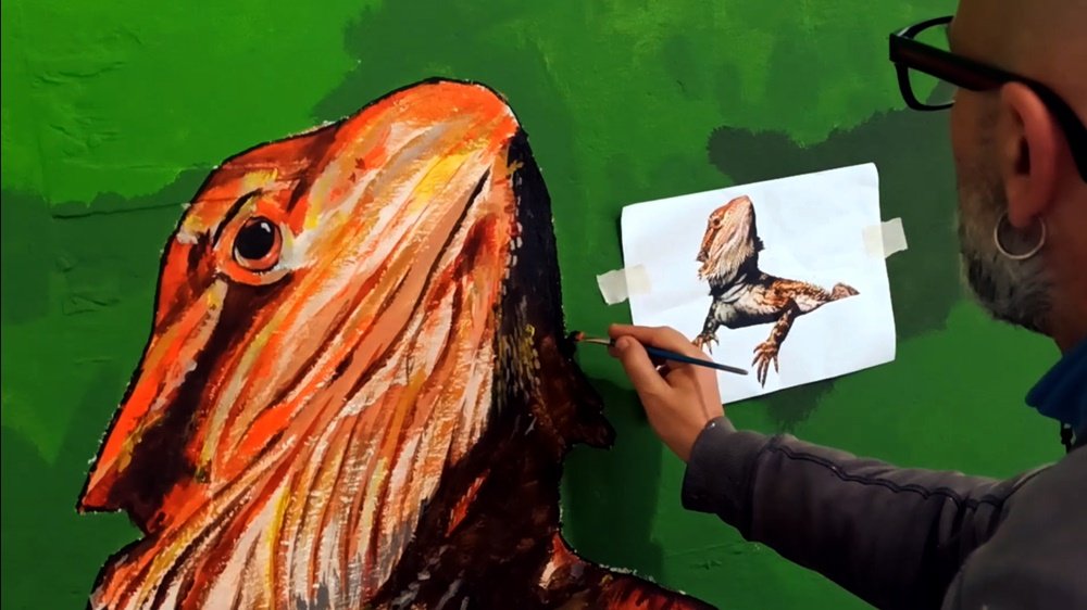 O artista Fly Pontes a pintar o Lagarto Barbudo no mural da Petlandia, utilizando um pincel fino para os detalhes. A folha de referência do animal está colada na parede, garantindo a precisão e o realismo da textura.