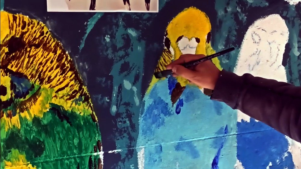 O artista Fly Pontes a pintar os Periquitos no mural da Loja Petlandia. A aplicação de cores vivas e detalhes nas aves, que estão em convívio na janela, adiciona alegria e diversidade ao ecossistema pintado.