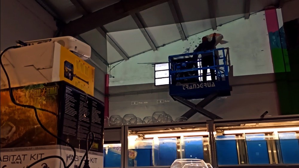 O artista Fly Pontes na plataforma elevatória a traçar a imagem do Koi-Fish projectada na parede do mural da Loja Petlandia. A técnica de projecção é usada para transferir o desenho do peixe que irá saltar da janela/aquário.
