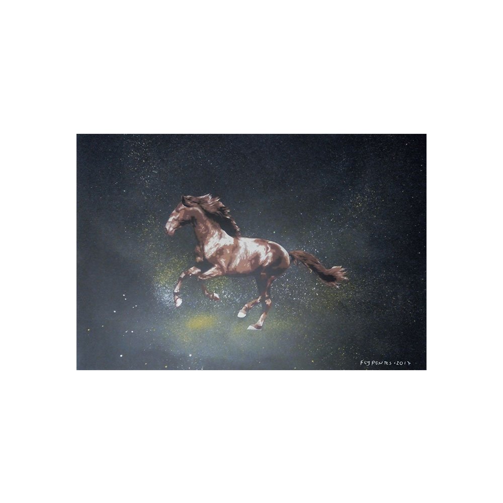Esta tela (40x50cm) capta o movimento em stencil: um cavalo castanho a galope. Jactos e gotas de tinta amarela e branca, aplicados com a needle cap, saem dos cascos, contrastando com o fundo preto com esfumados brancos e amarelos. Uma peça de arte urbana de grande dinamismo.