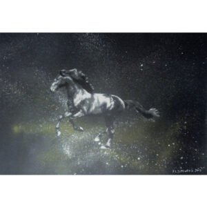 Esta tela (40x50cm) capta o movimento puro: um cavalo cinzento a galope, feito com stencil e spray. Jactos e gotas de tinta amarela e branca, aplicados com a needle cap, saem dos cascos do animal, contrastando com o fundo preto esfumado que evoca velocidade e drama.