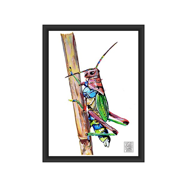 Uma ilustração vibrante (A4) do "Gafanhoto Arco-íris", pintado exclusivamente com os marcadores One4all da Molotow. Esta peça celebra a beleza inesperada dos insectos com uma explosão de cor. Disponível para venda na Loja.